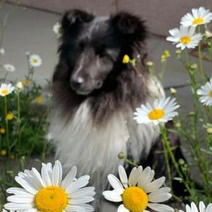 Meet your Posher, Carmen